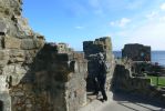 PICTURES/St. Andrews Castle/t_Castle Walls3.JPG